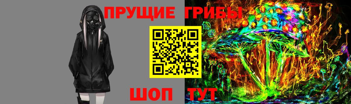 Среднеуральск  Псилоцибиновые грибы Cubensis  Галлюциногенные грибы Psilocybine cubensis  Вход с VPN 